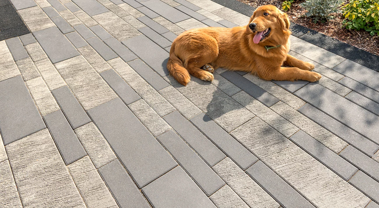 Promenade Paver Patio Artline Il Campo0112